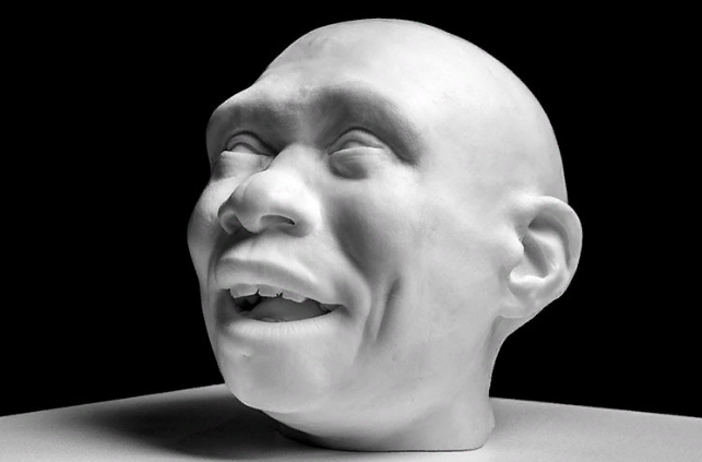 Модель головы молодого мужчины Homo antecessor