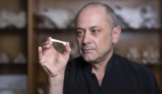 Профессор Филип Пайпер держит слепок кости стопы Homo luzonensis