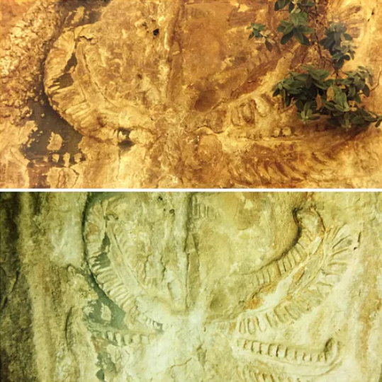 Ахура Мазда, высеченные в скале гробницы Кизкапана