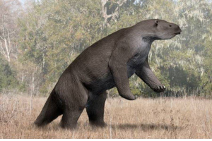 Мегатерий - древний наземный ленивец