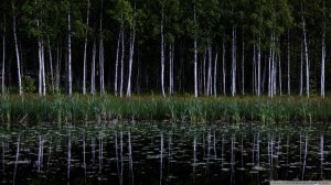 Легенда Чёрного озера