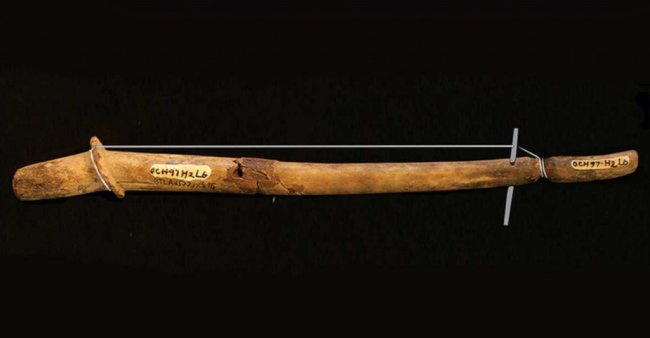 Рога из вьетнамского музея оказались древними музыкальными инструментами