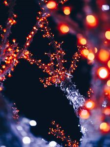 Тайные желания