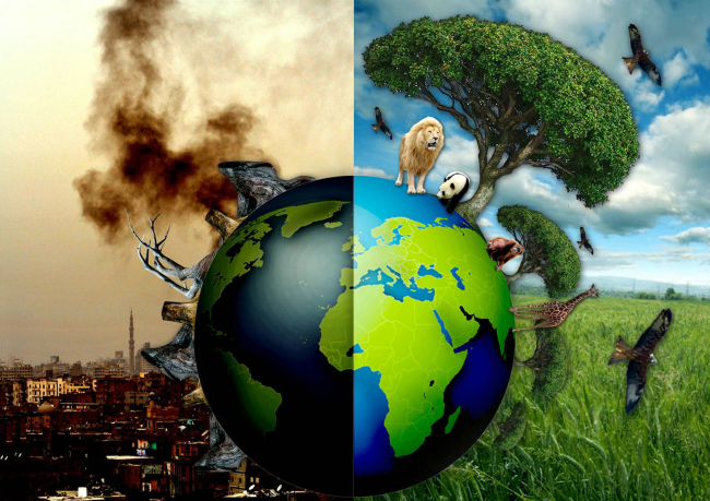 Экологические проблемы и пути их решения 