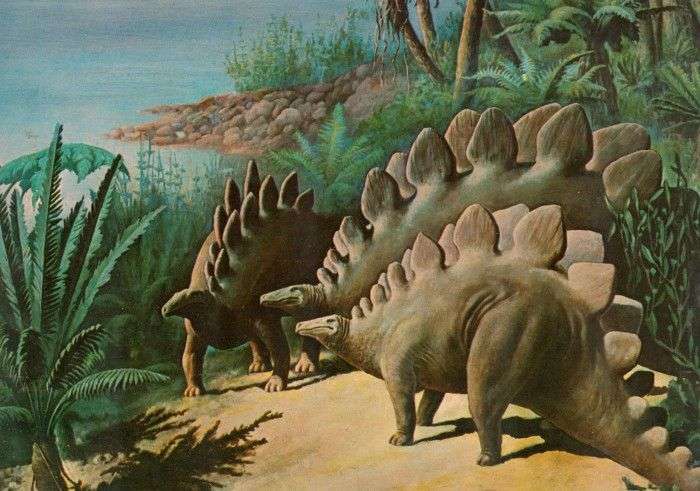 В подгруппу стегозавров входили динозавры с маленькими примитивными пластинами