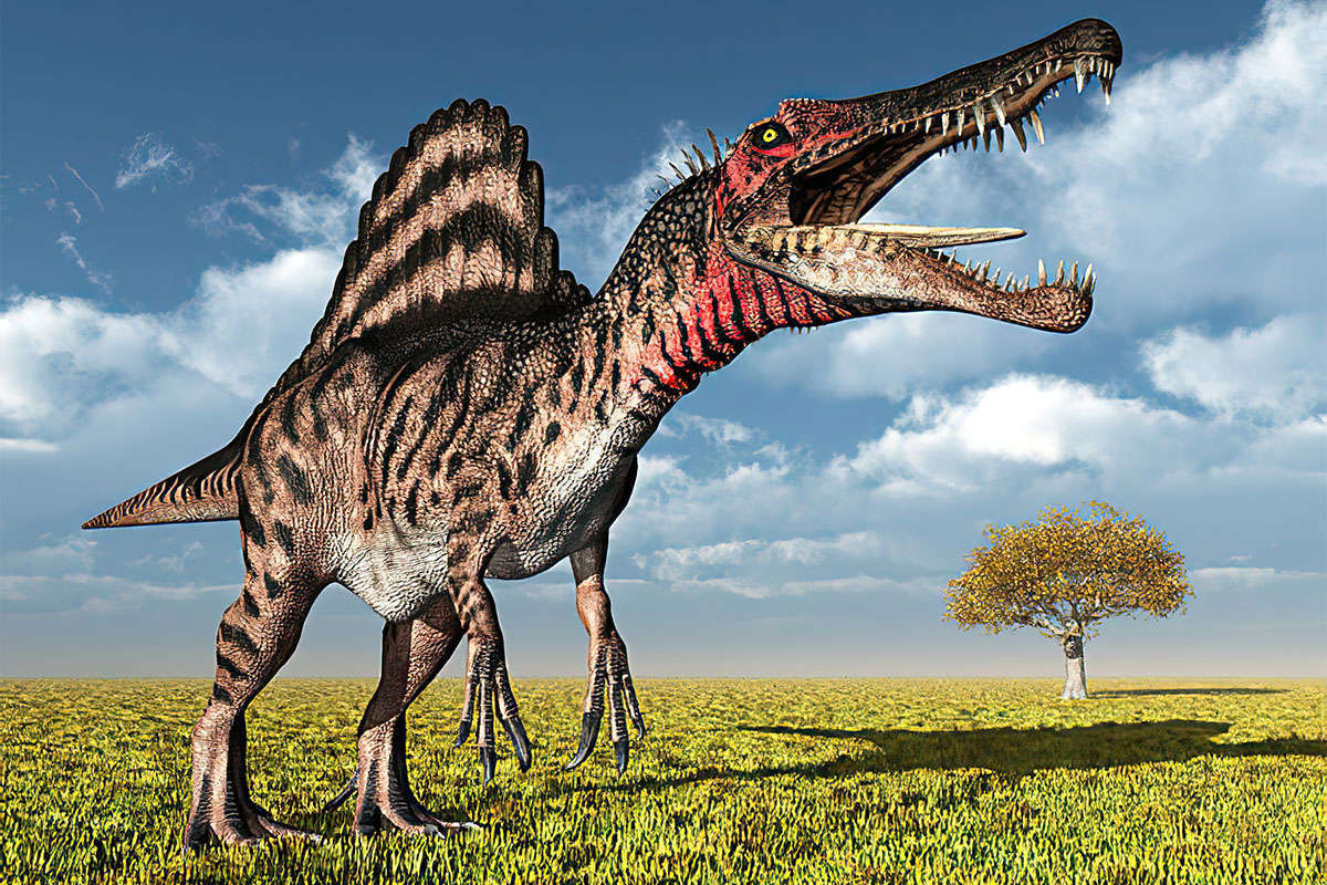dinofarm-spinosaurus-cover.jpg