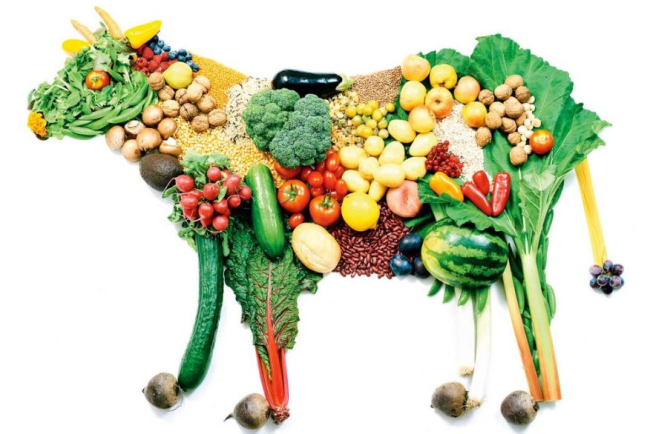Есть или не есть: вегетарианские продукты и заменители мяса