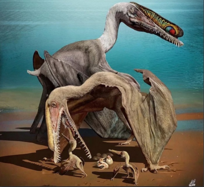 Почему птерозавры  — не динозавры и не рептилии