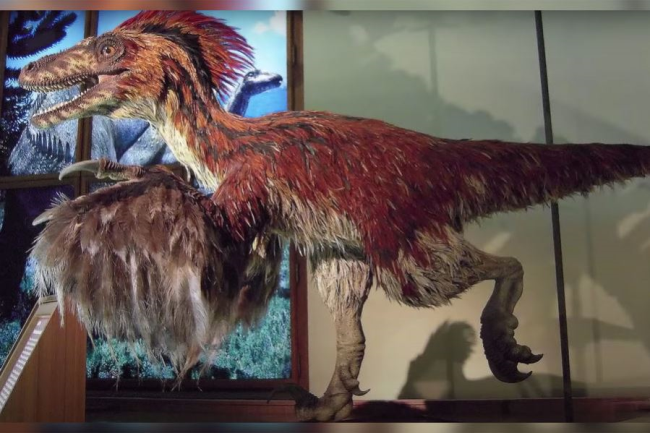 Предки динозавров и их первые примитивные формы