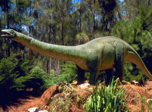 Основные виды травоядных динозавров