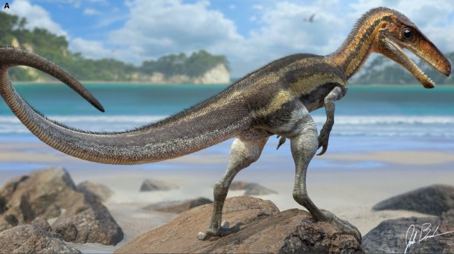 Различия в поведении динозавров в зависимости от их образа жизни