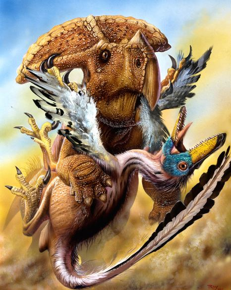 Нападение и защита динозавров: могли ли уберечься травоядные от зубов хищников 