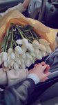 Тюльпаны для Дианы
