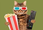 Первый фильм
