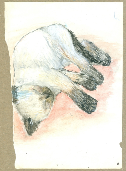 Эпизоды деревни Цапли