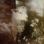 О тирании горизонта: почему мы разучились блуждать