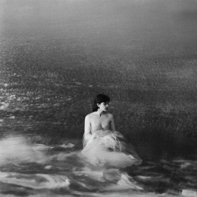 Геометрия одиночества: дилемма дикобраза как экзистенциальный проект