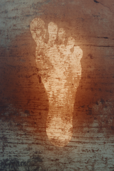 Закон сохранения образа: хореография, пережившая танцора