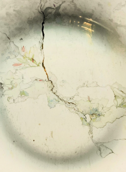 Ум, запечённый в фарфоре