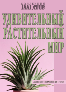 Удивительный растительный мир