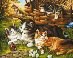 Кот по имени Мисс