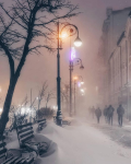 Туманы Владивостока